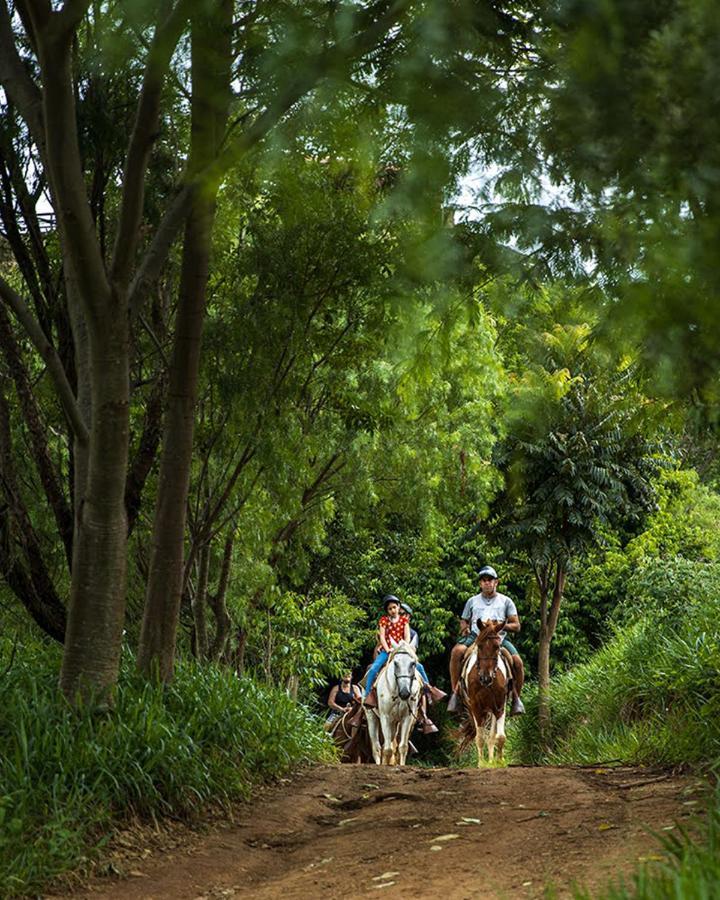 סוקורו Hotel Fazenda Parque Dos Sonhos מראה חיצוני תמונה